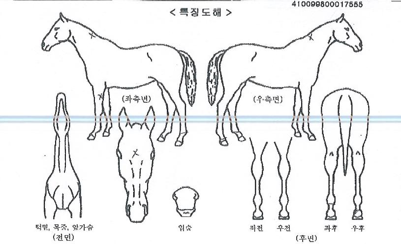±ÝÀü»çÀÇ Ãø¸é,¿ì¸é,µÞ¸é,µÎ»ó,´Ù¸®ÀÇ Æ¯Â¡µµÇØ
