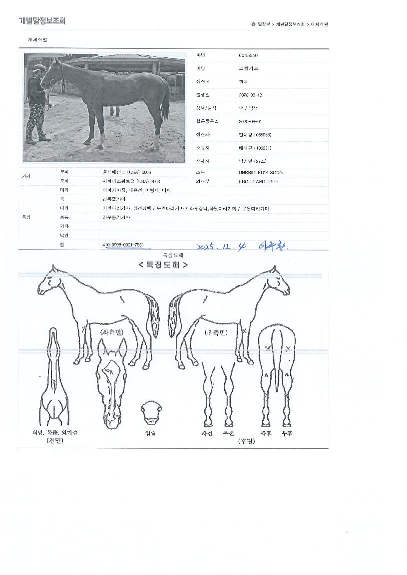 �帲ī���� ����,���,�޸�,�λ�,�ٸ��� Ư¡����