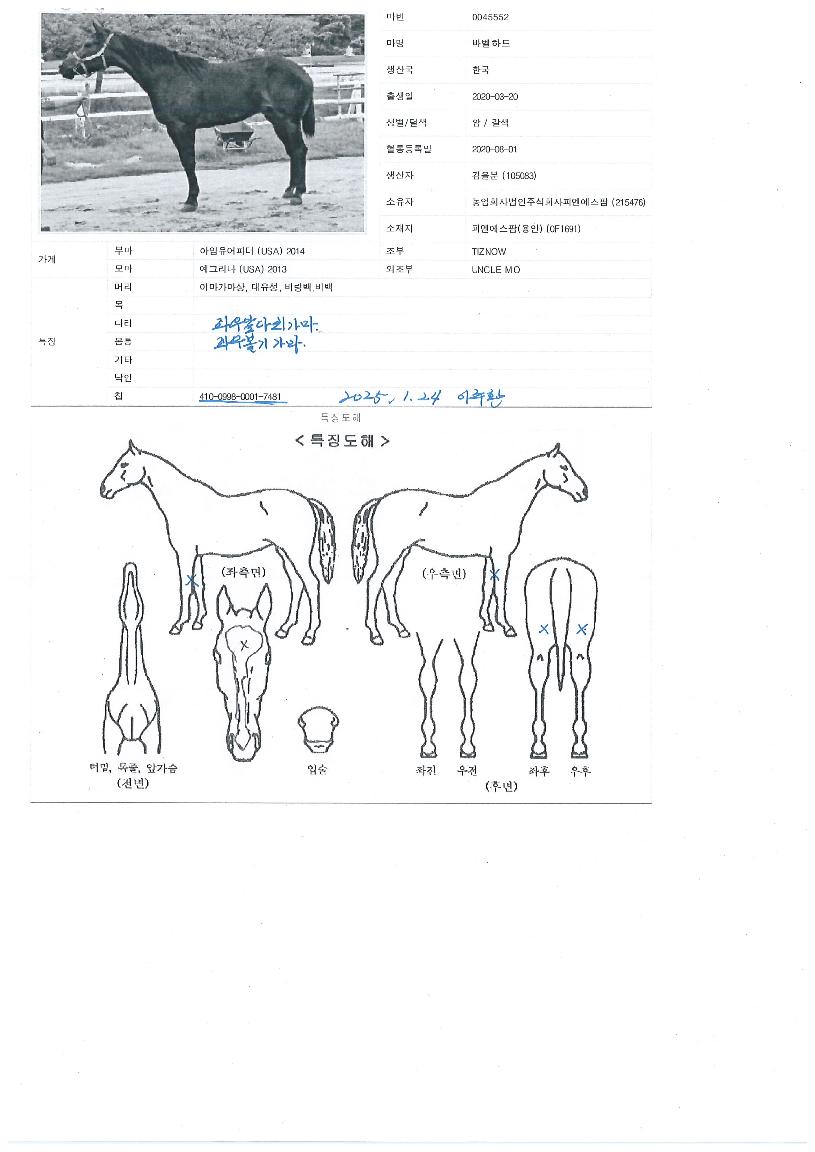 �ٺ���Ʈ�� ����,���,�޸�,�λ�,�ٸ��� Ư¡����