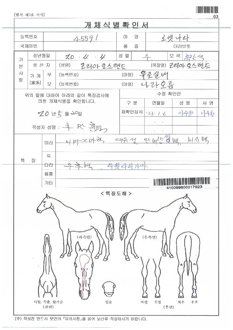 ·ÎÄϳª¶óÀÇ Ãø¸é,¿ì¸é,µÞ¸é,µÎ»ó,´Ù¸®ÀÇ Æ¯Â¡µµÇØ