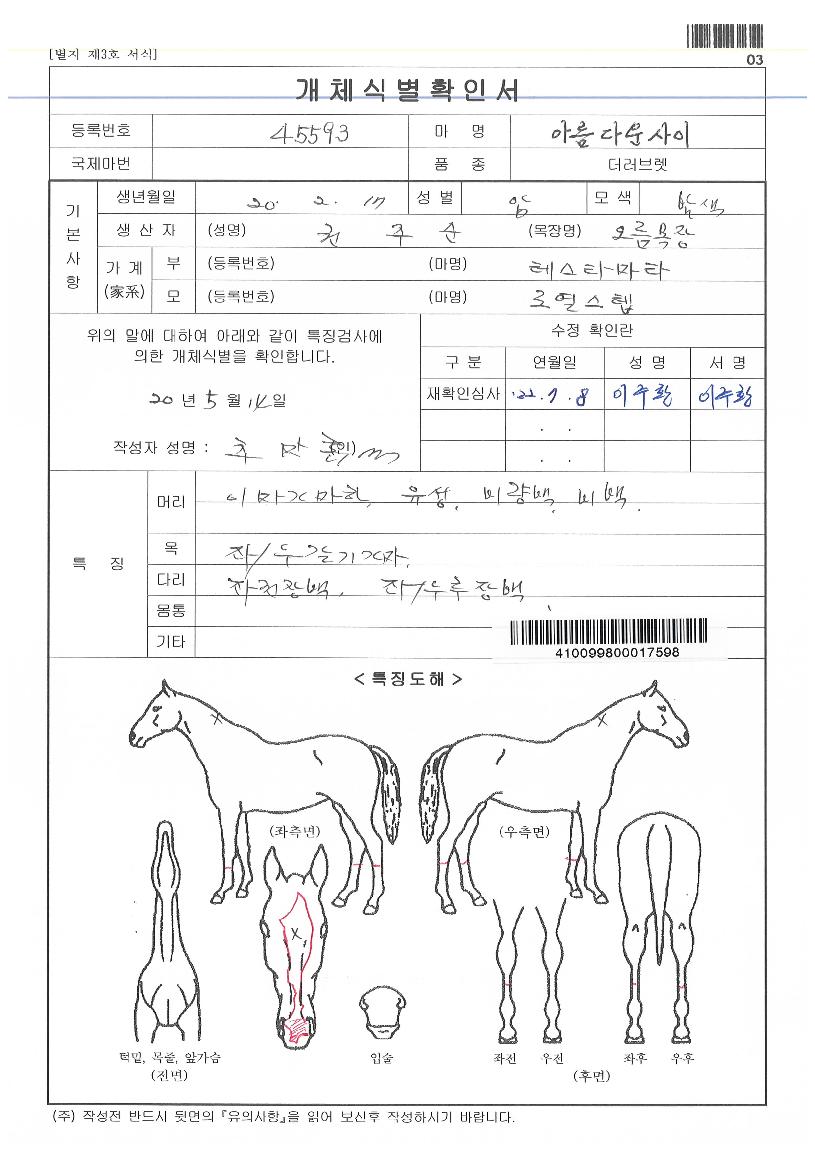 ¾Æ¸§´Ù¿î»çÀÌÀÇ Ãø¸é,¿ì¸é,µÞ¸é,µÎ»ó,´Ù¸®ÀÇ Æ¯Â¡µµÇØ