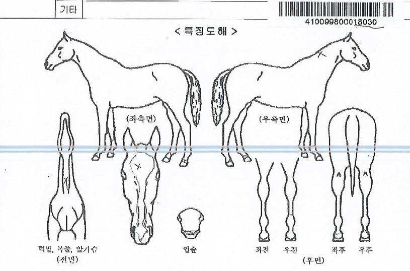 ť�ǵ彺���� ����,���,�޸�,�λ�,�ٸ��� Ư¡����