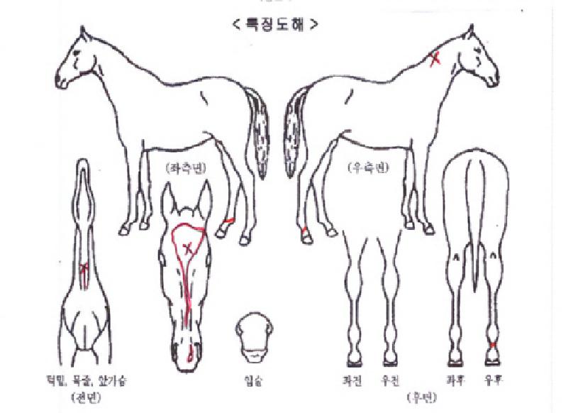 �Ŀ������� ����,���,�޸�,�λ�,�ٸ��� Ư¡����