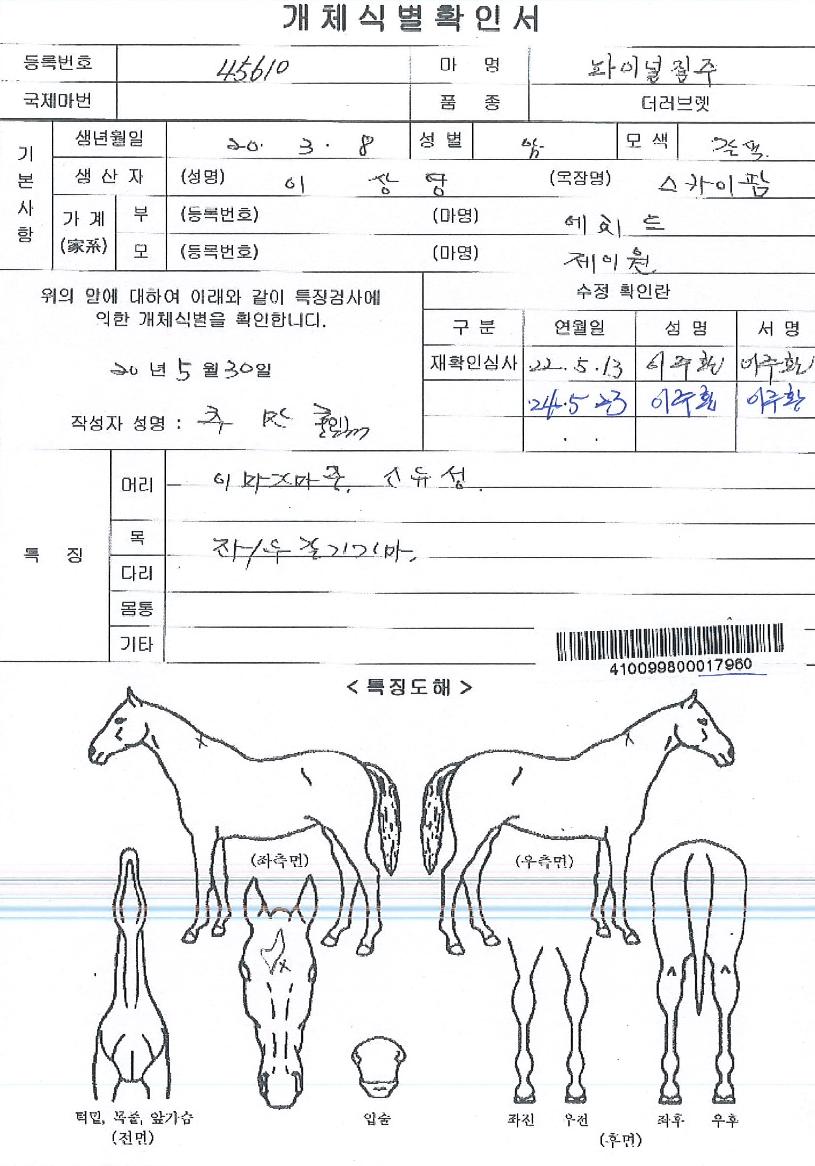 ÆÄÀ̳ÎÁúÁÖÀÇ Ãø¸é,¿ì¸é,µÞ¸é,µÎ»ó,´Ù¸®ÀÇ Æ¯Â¡µµÇØ