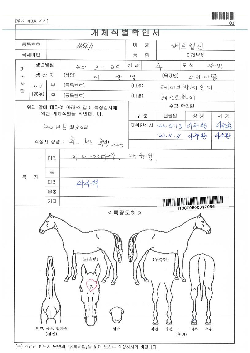 ��Ʈĸƾ�� ����,���,�޸�,�λ�,�ٸ��� Ư¡����