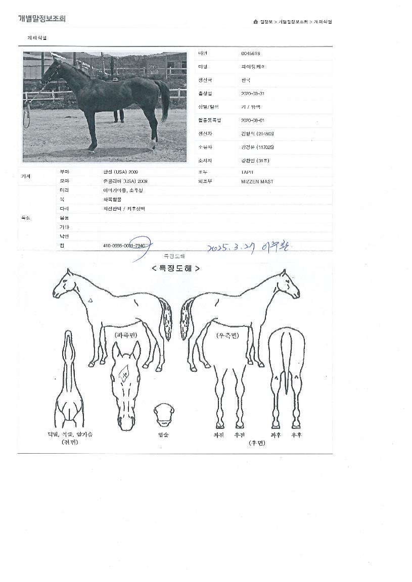 ������������ ����,���,�޸�,�λ�,�ٸ��� Ư¡����