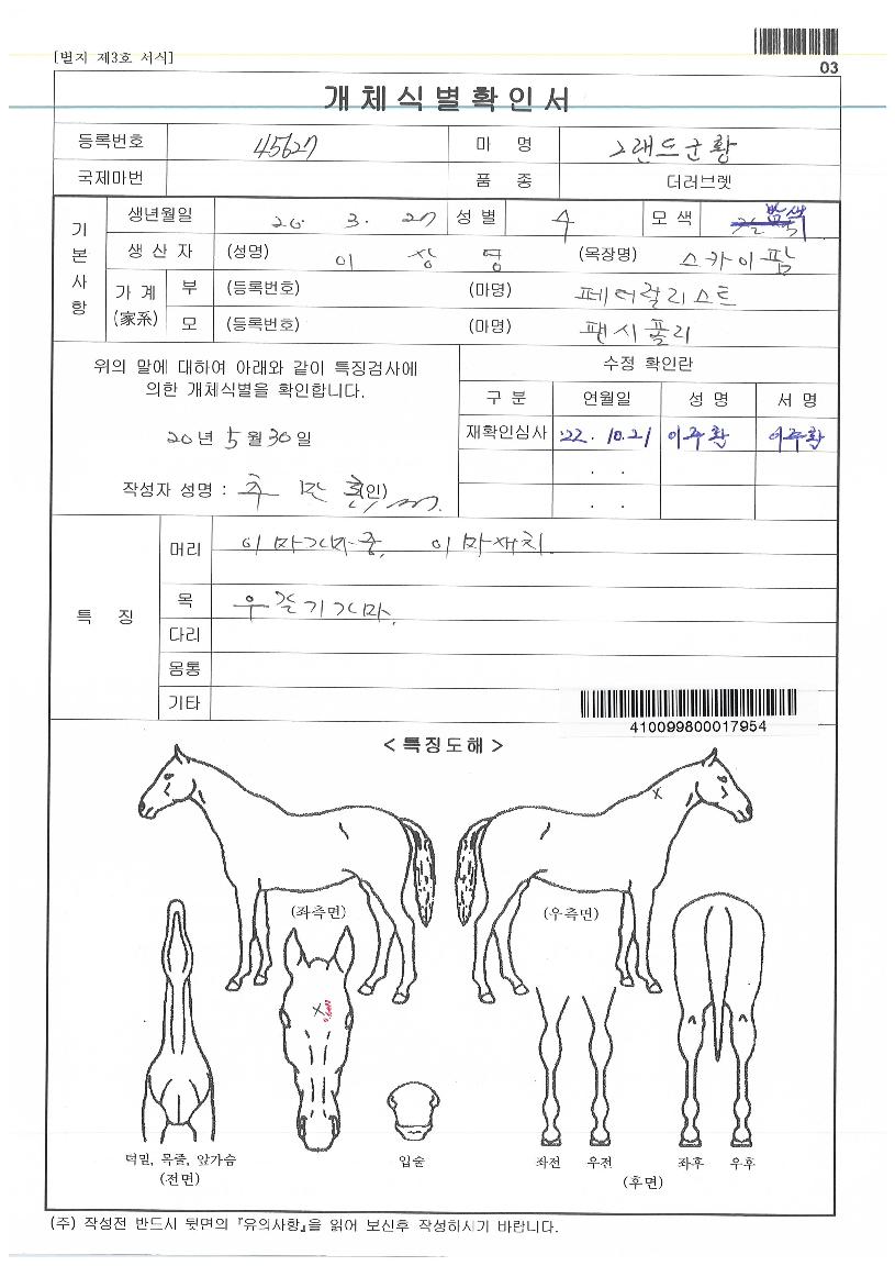 �׷��屺Ȳ�� ����,���,�޸�,�λ�,�ٸ��� Ư¡����