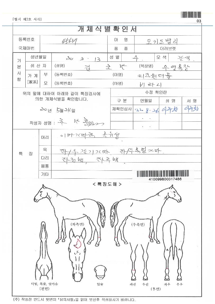 ��Ű��븮�� ����,���,�޸�,�λ�,�ٸ��� Ư¡����