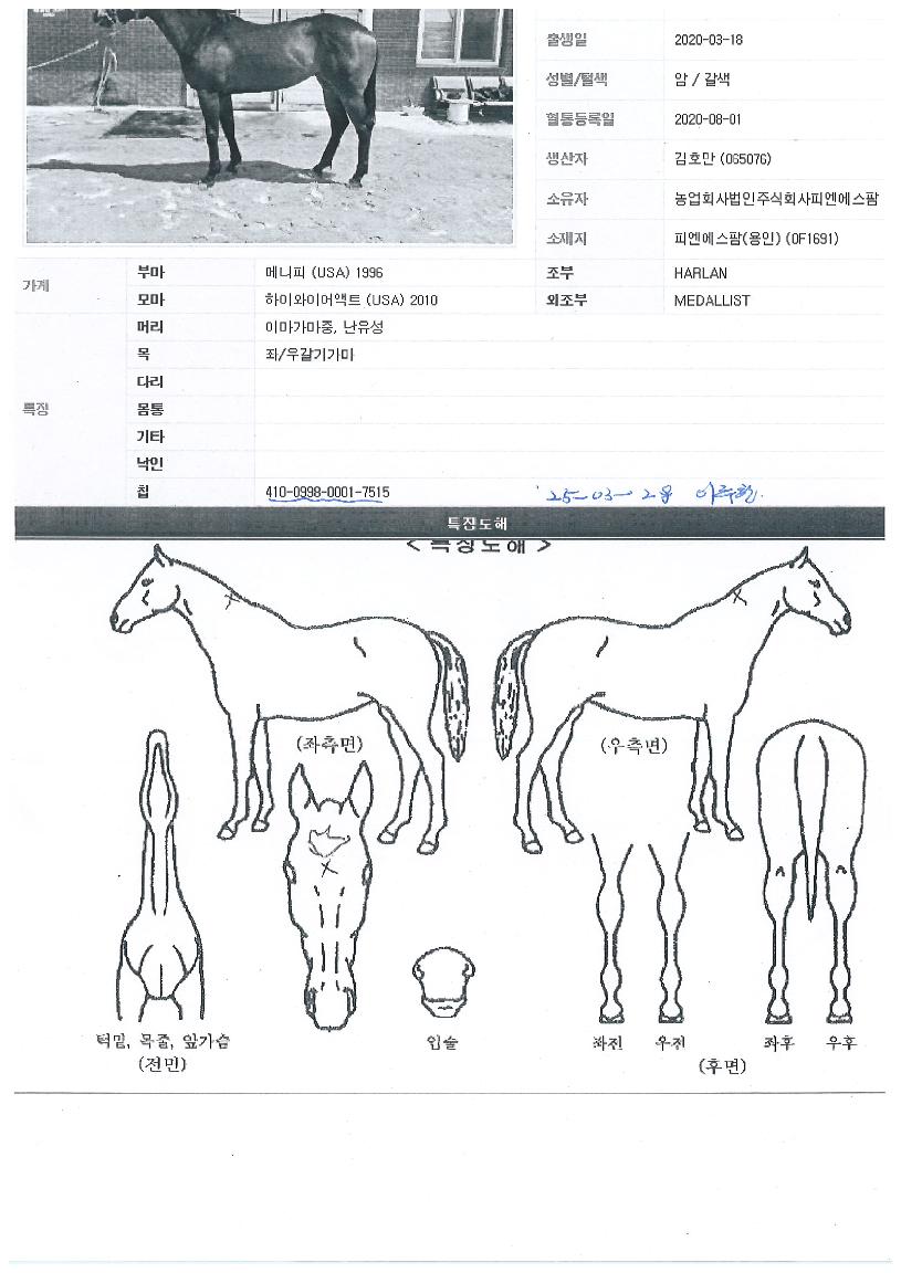 �����Ǳݺ��� ����,���,�޸�,�λ�,�ٸ��� Ư¡����