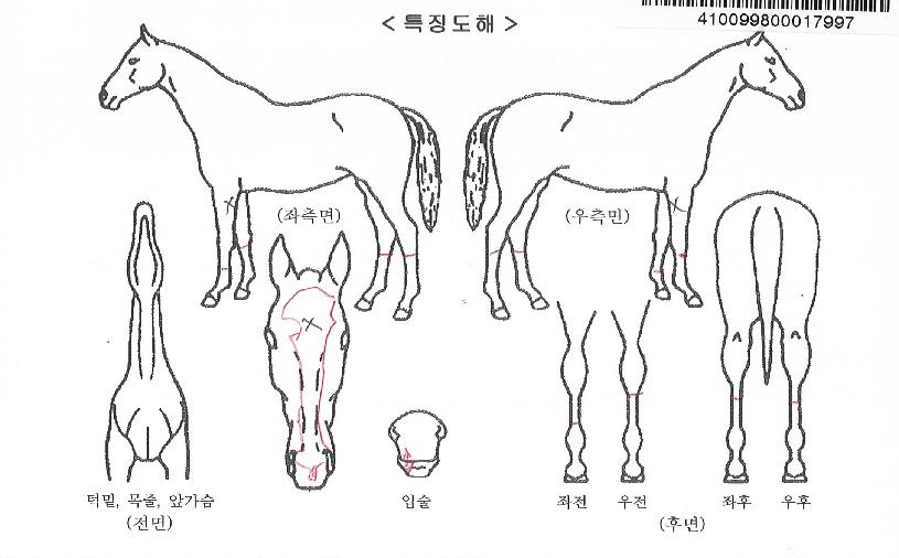 �Ÿ��Ǳ����� ����,���,�޸�,�λ�,�ٸ��� Ư¡����