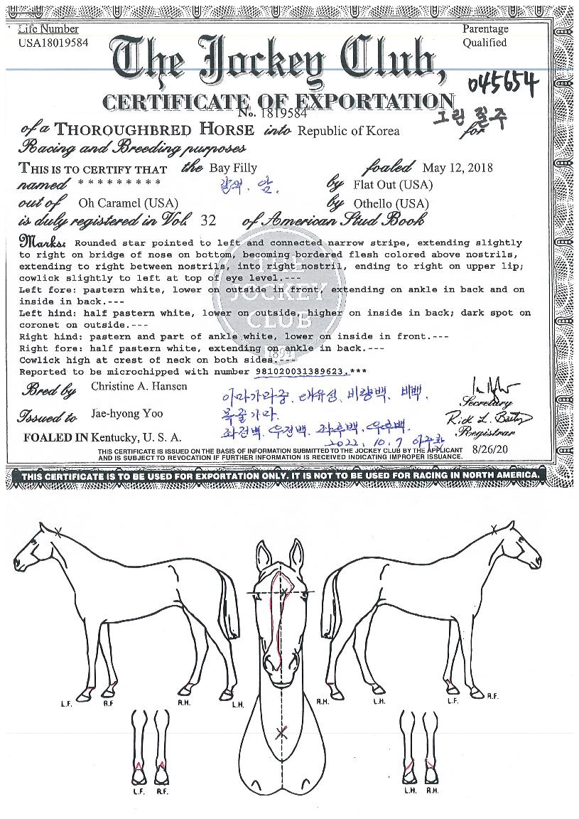 �׸������� ����,���,�޸�,�λ�,�ٸ��� Ư¡����