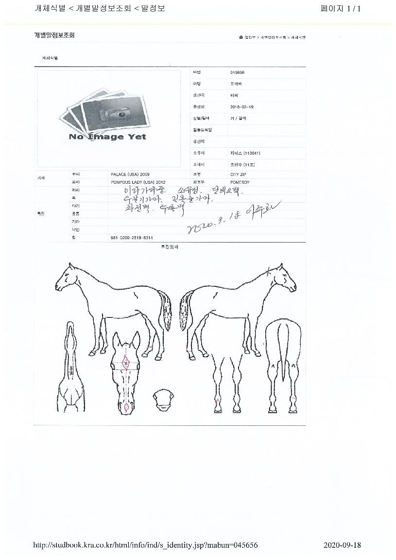 �������� ����,���,�޸�,�λ�,�ٸ��� Ư¡����