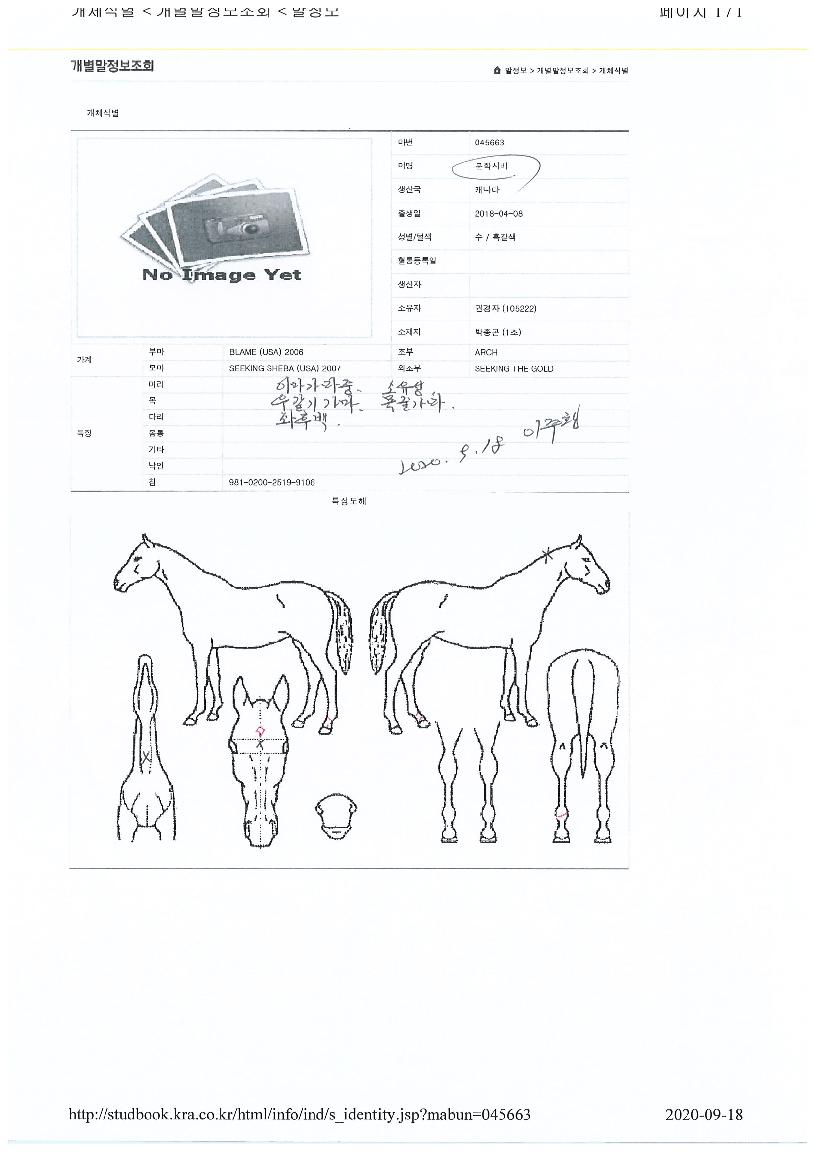 ���нù��� ����,���,�޸�,�λ�,�ٸ��� Ư¡����