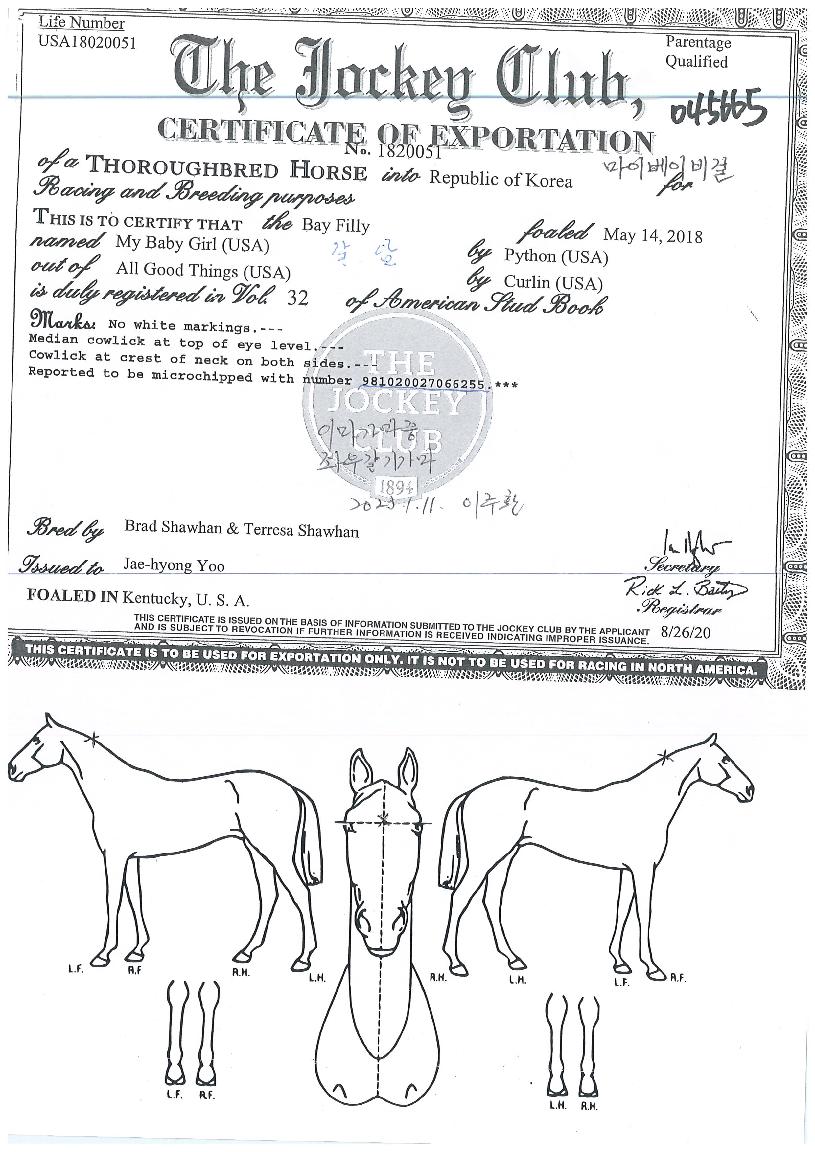 ���̺��̺���� ����,���,�޸�,�λ�,�ٸ��� Ư¡����