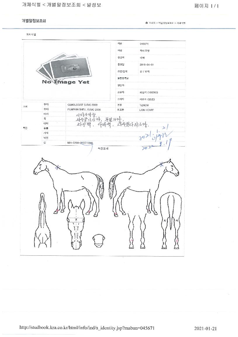 ���̿����� ����,���,�޸�,�λ�,�ٸ��� Ư¡����