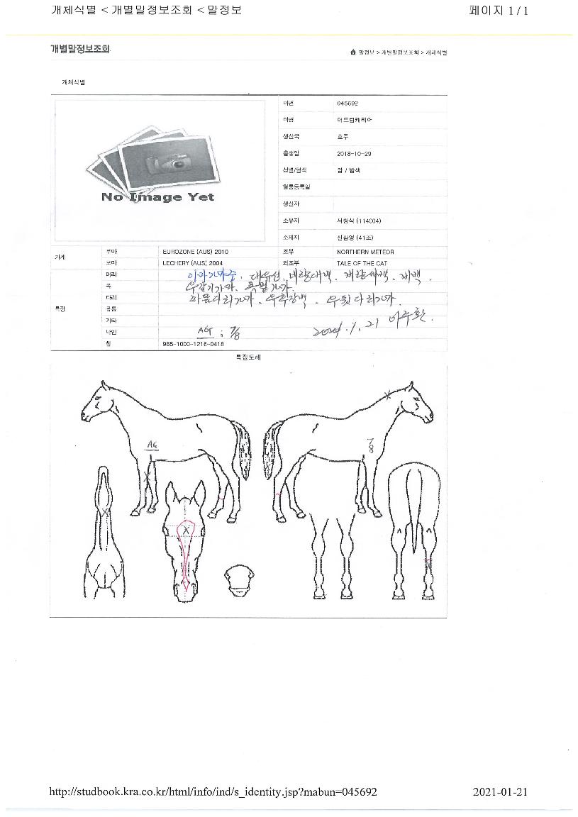 ���帲ĳ������ ����,���,�޸�,�λ�,�ٸ��� Ư¡����