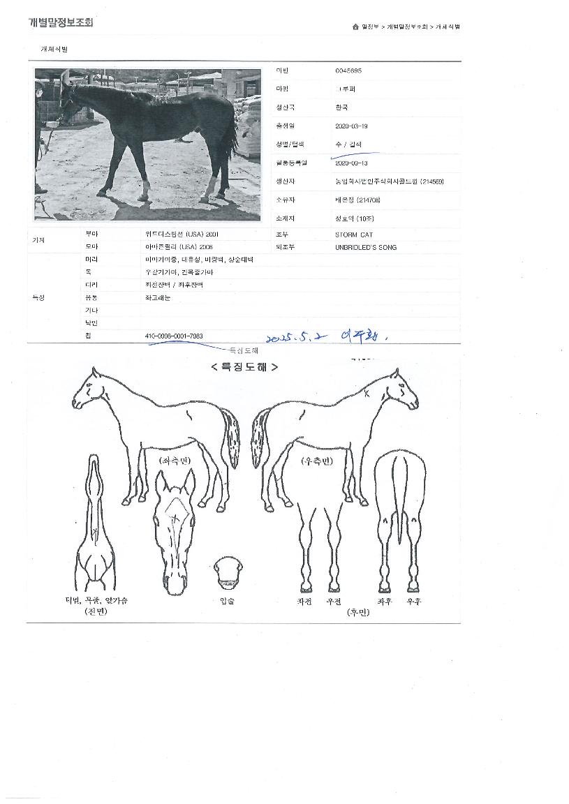±×·çÆÛÀÇ Ãø¸é,¿ì¸é,µÞ¸é,µÎ»ó,´Ù¸®ÀÇ Æ¯Â¡µµÇØ