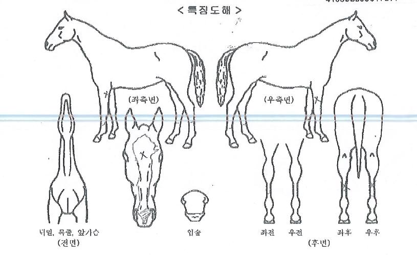 ��´������� ����,���,�޸�,�λ�,�ٸ��� Ư¡����