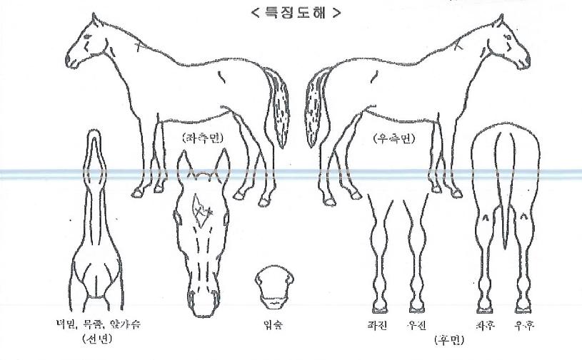 üũÆ÷ÀÎÆ®ÀÇ Ãø¸é,¿ì¸é,µÞ¸é,µÎ»ó,´Ù¸®ÀÇ Æ¯Â¡µµÇØ