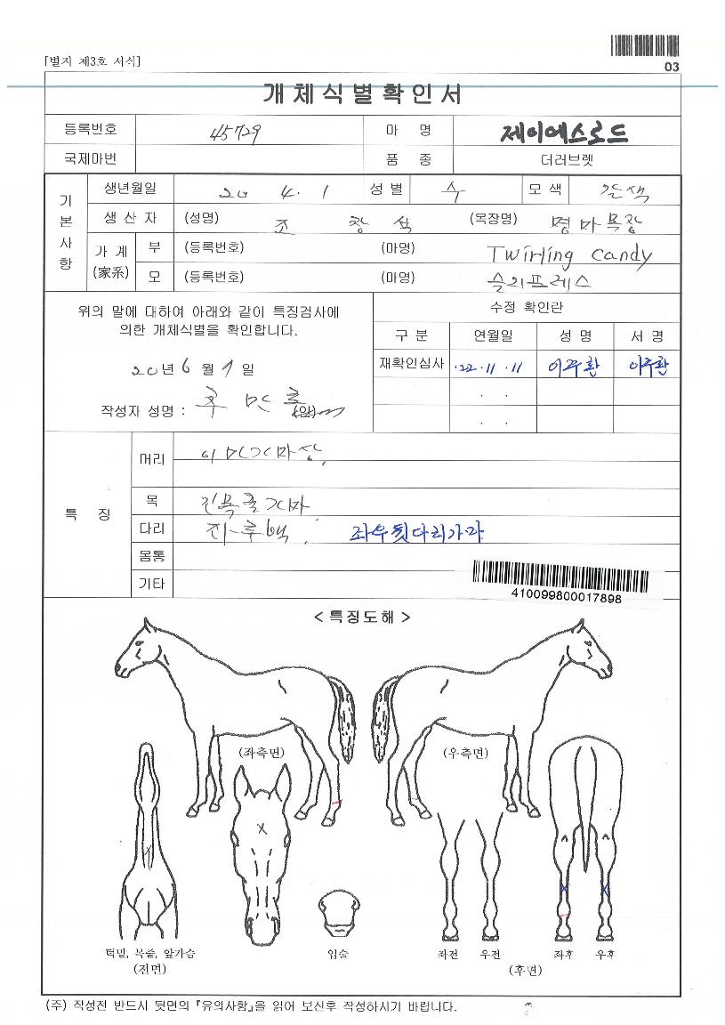 ���̿����ε��� ����,���,�޸�,�λ�,�ٸ��� Ư¡����