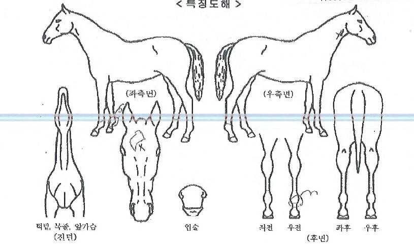 ��ǳ���� ����,���,�޸�,�λ�,�ٸ��� Ư¡����