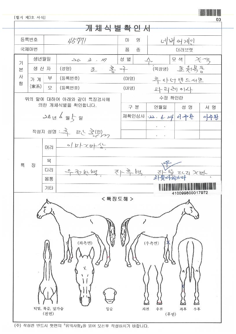 ³×¹ö¾î°ÔÀÎÀÇ Ãø¸é,¿ì¸é,µÞ¸é,µÎ»ó,´Ù¸®ÀÇ Æ¯Â¡µµÇØ