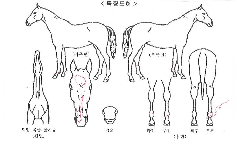 ����Ʈ������ ����,���,�޸�,�λ�,�ٸ��� Ư¡����