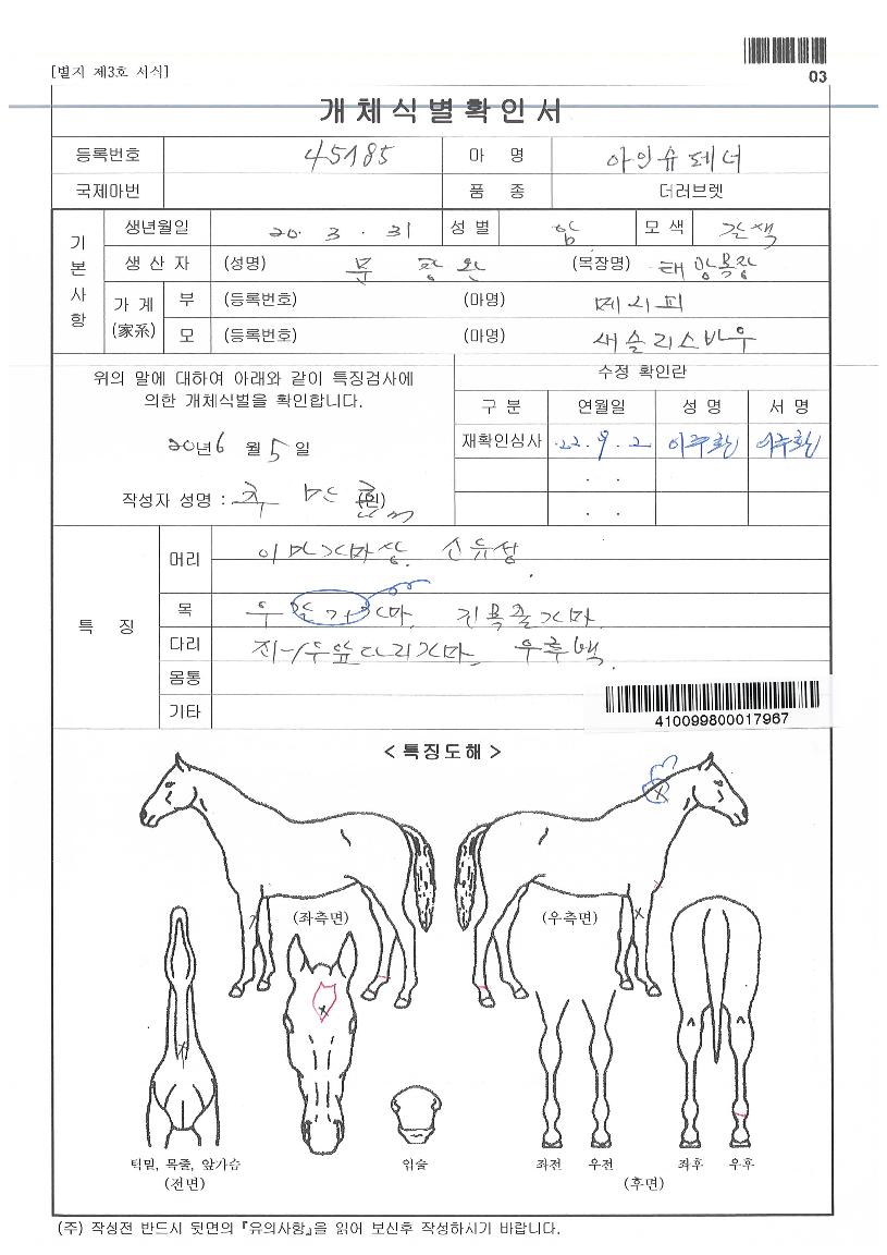 ¾ÆÀν´Æä³ÊÀÇ Ãø¸é,¿ì¸é,µÞ¸é,µÎ»ó,´Ù¸®ÀÇ Æ¯Â¡µµÇØ