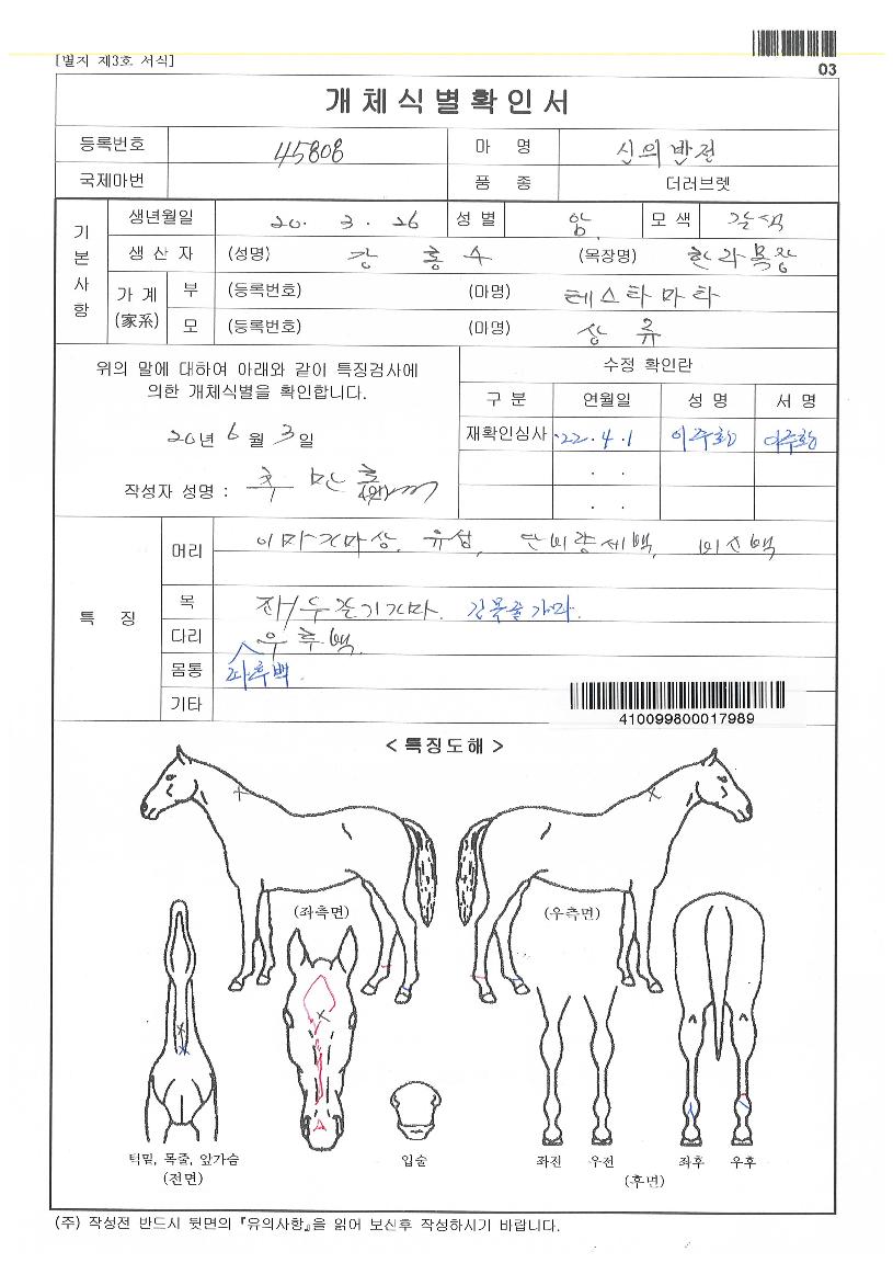 ½ÅÀǹÝÀüÀÇ Ãø¸é,¿ì¸é,µÞ¸é,µÎ»ó,´Ù¸®ÀÇ Æ¯Â¡µµÇØ