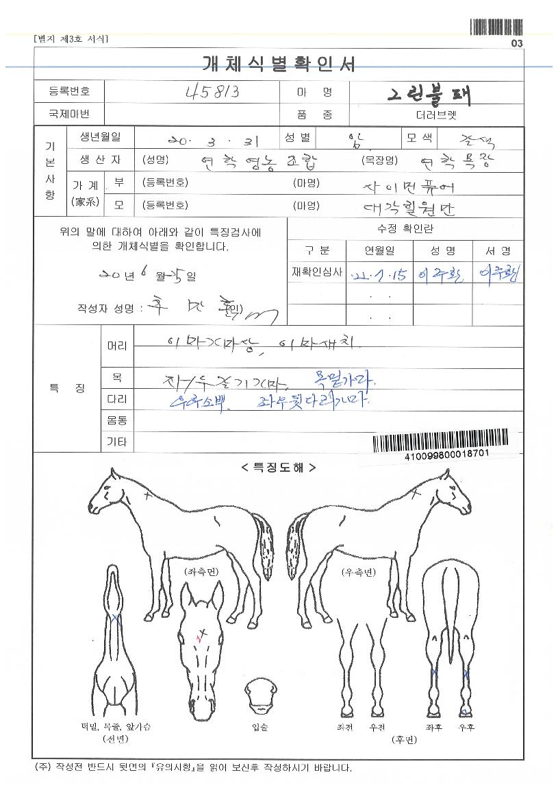 �׸������� ����,���,�޸�,�λ�,�ٸ��� Ư¡����