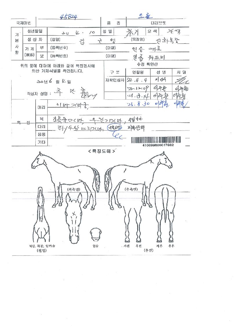 Ʈ���� ����,���,�޸�,�λ�,�ٸ��� Ư¡����