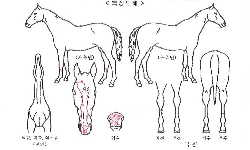 �¾������� ����,���,�޸�,�λ�,�ٸ��� Ư¡����