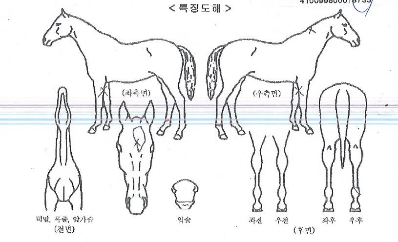 ��Ÿ������ ����,���,�޸�,�λ�,�ٸ��� Ư¡����