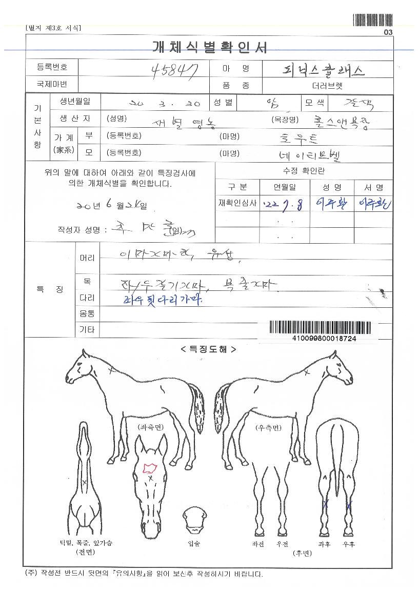 ÇǴнºÅ¬·¡½ºÀÇ Ãø¸é,¿ì¸é,µÞ¸é,µÎ»ó,´Ù¸®ÀÇ Æ¯Â¡µµÇØ