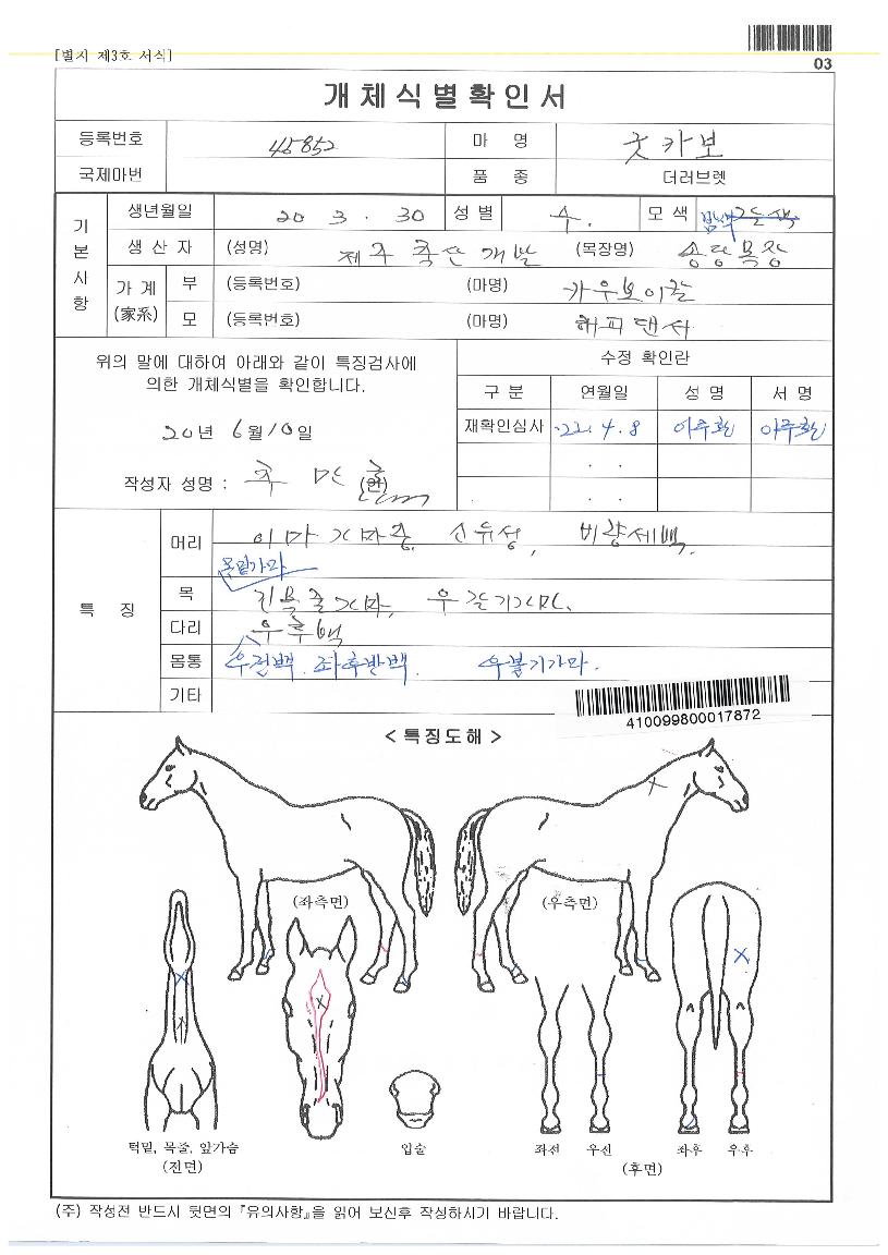 ±ÂÄ«º¸ÀÇ Ãø¸é,¿ì¸é,µÞ¸é,µÎ»ó,´Ù¸®ÀÇ Æ¯Â¡µµÇØ