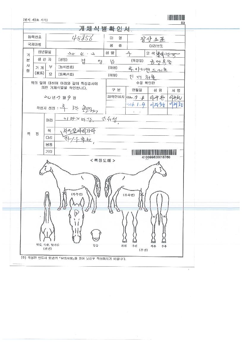 ��꽺���� ����,���,�޸�,�λ�,�ٸ��� Ư¡����