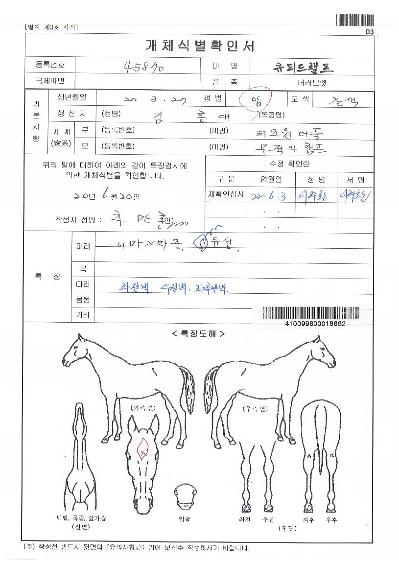 Å¥ÇǵåèÇÁÀÇ Ãø¸é,¿ì¸é,µÞ¸é,µÎ»ó,´Ù¸®ÀÇ Æ¯Â¡µµÇØ