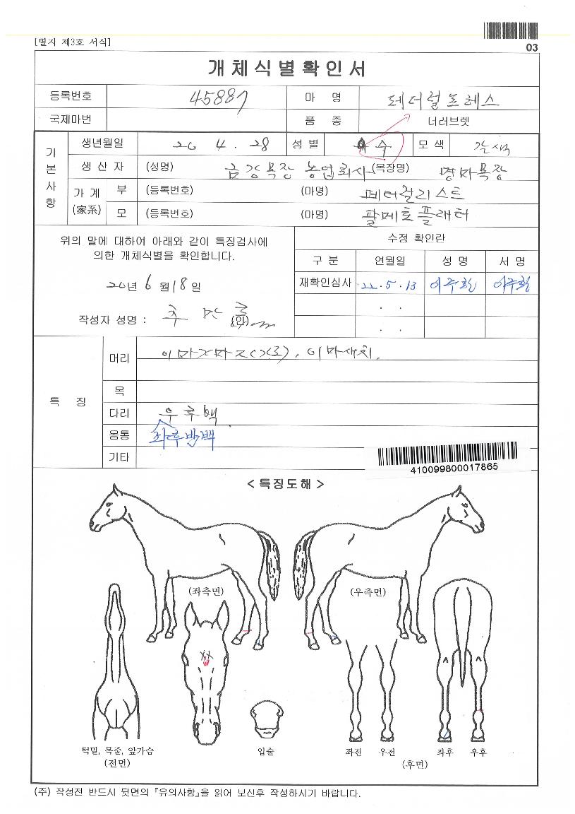 Æä´õ·²ÇÁ·¹½ºÀÇ Ãø¸é,¿ì¸é,µÞ¸é,µÎ»ó,´Ù¸®ÀÇ Æ¯Â¡µµÇØ