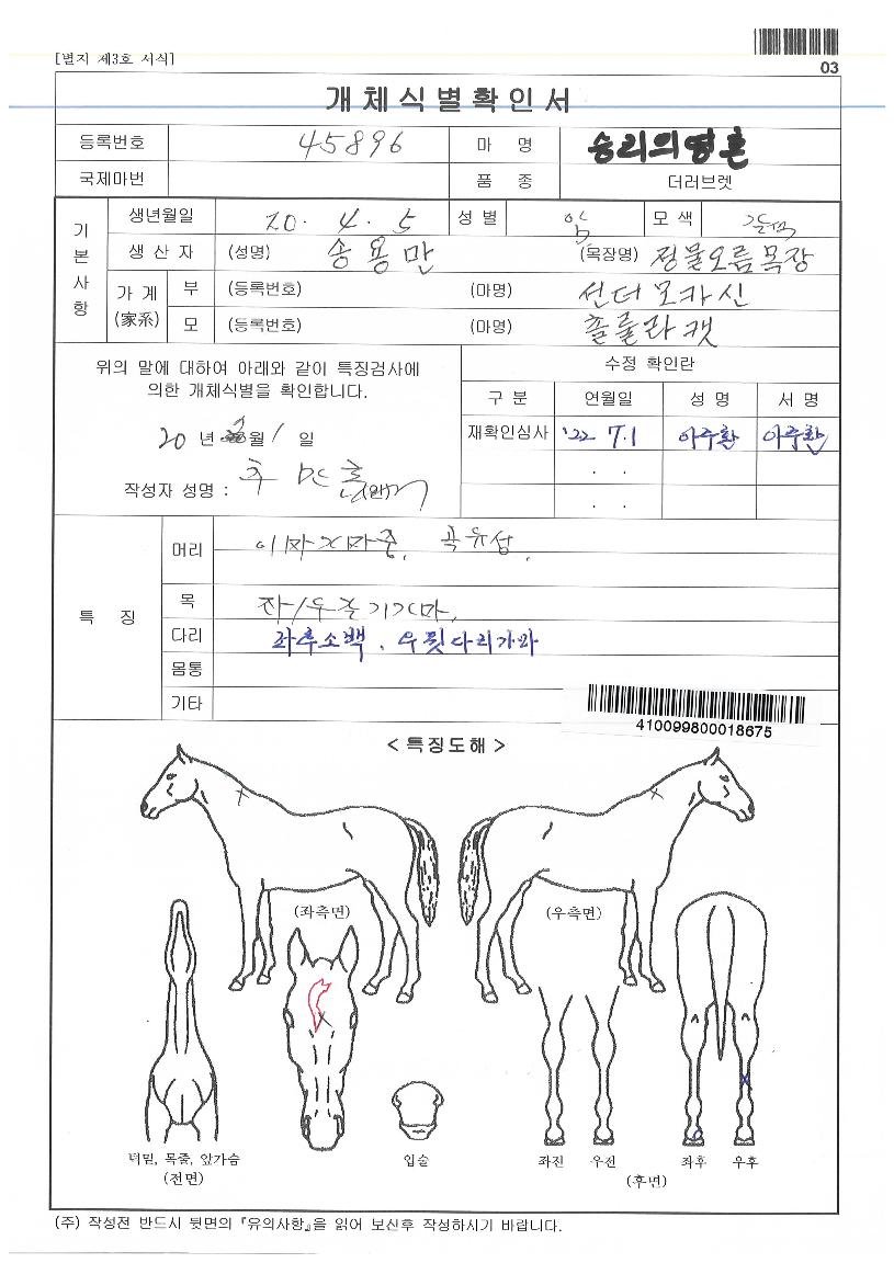 �¸��ǿ�ȥ�� ����,���,�޸�,�λ�,�ٸ��� Ư¡����