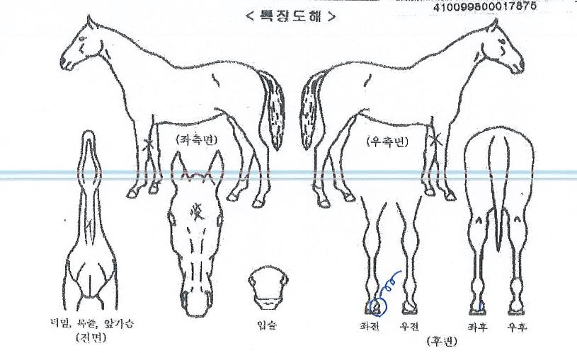 �̽�������Ƽ�� ����,���,�޸�,�λ�,�ٸ��� Ư¡����