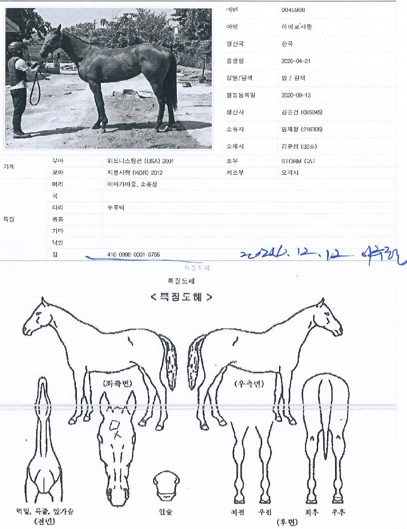 ����λ���� ����,���,�޸�,�λ�,�ٸ��� Ư¡����