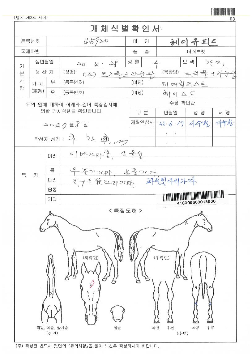 ÇìÀÌÅ¥ÇǵåÀÇ Ãø¸é,¿ì¸é,µÞ¸é,µÎ»ó,´Ù¸®ÀÇ Æ¯Â¡µµÇØ