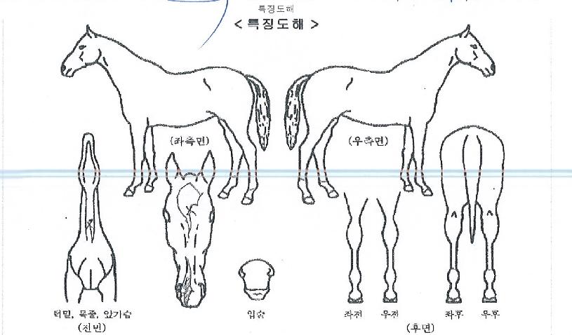 ��ũ��ε��� ����,���,�޸�,�λ�,�ٸ��� Ư¡����