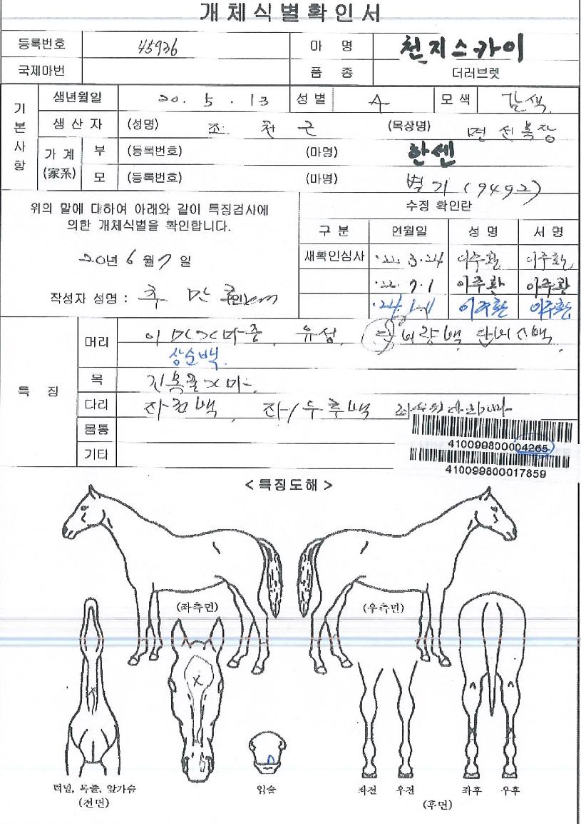 õÁö½ºÄ«ÀÌÀÇ Ãø¸é,¿ì¸é,µÞ¸é,µÎ»ó,´Ù¸®ÀÇ Æ¯Â¡µµÇØ