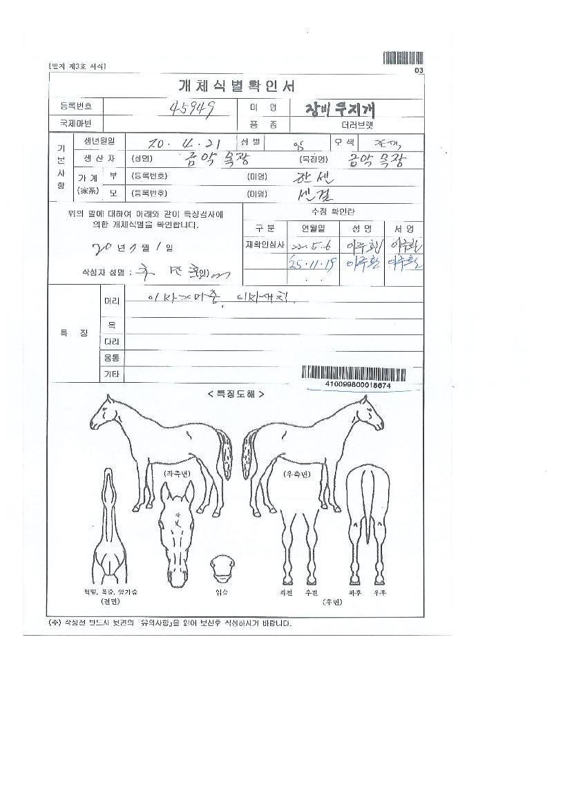 Àåºñ¹«Áö°³ÀÇ Ãø¸é,¿ì¸é,µÞ¸é,µÎ»ó,´Ù¸®ÀÇ Æ¯Â¡µµÇØ