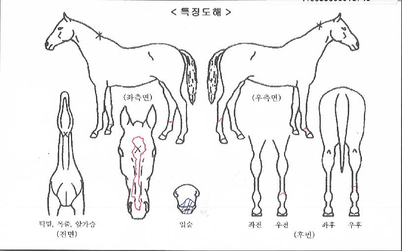 ���̿��������� ����,���,�޸�,�λ�,�ٸ��� Ư¡����