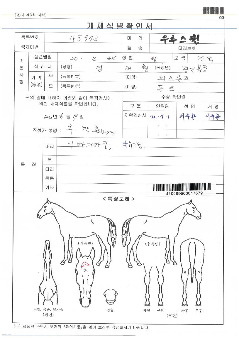 ��罺���� ����,���,�޸�,�λ�,�ٸ��� Ư¡����