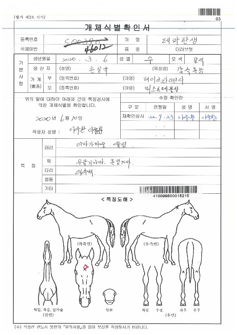 Å׸¶Åº»ýÀÇ Ãø¸é,¿ì¸é,µÞ¸é,µÎ»ó,´Ù¸®ÀÇ Æ¯Â¡µµÇØ