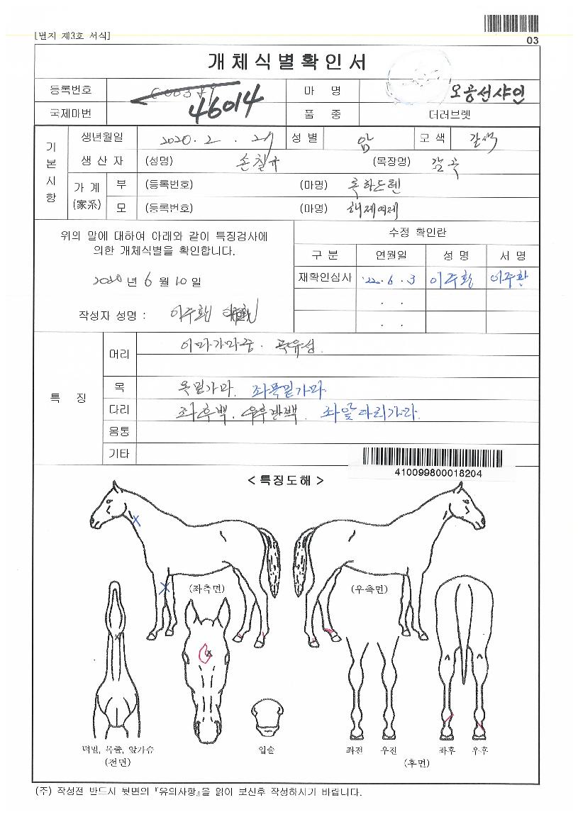 ¿À°ø¼±»þÀÎÀÇ Ãø¸é,¿ì¸é,µÞ¸é,µÎ»ó,´Ù¸®ÀÇ Æ¯Â¡µµÇØ