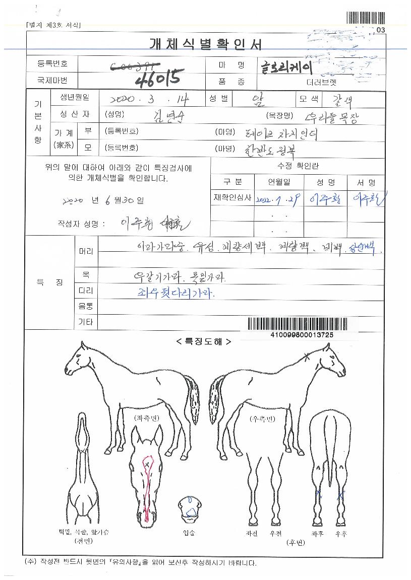 �۷θ������� ����,���,�޸�,�λ�,�ٸ��� Ư¡����